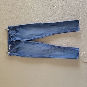 Skinny Mid Rise Blue Jeans
